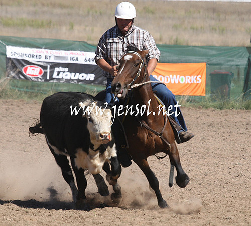 BombalaCampdraft2013Sat_0296