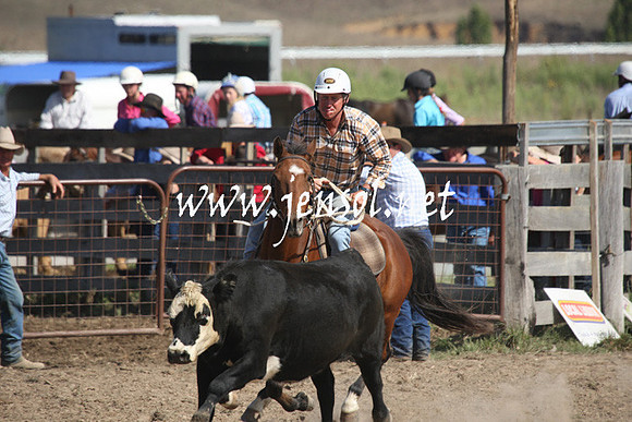 BombalaCampdraft2013Sat_0536