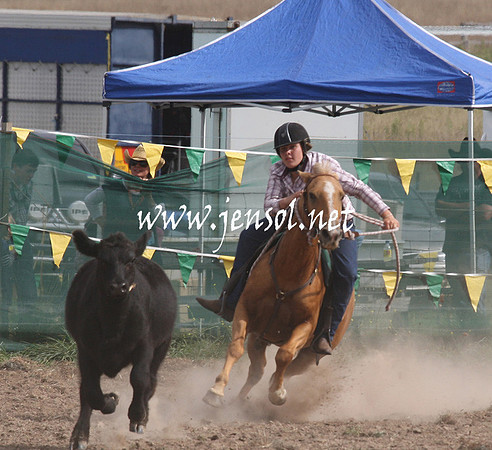 BombalaCampdraft2013Sat_0736