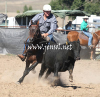 BombalaCampdraft2013Sat_0156