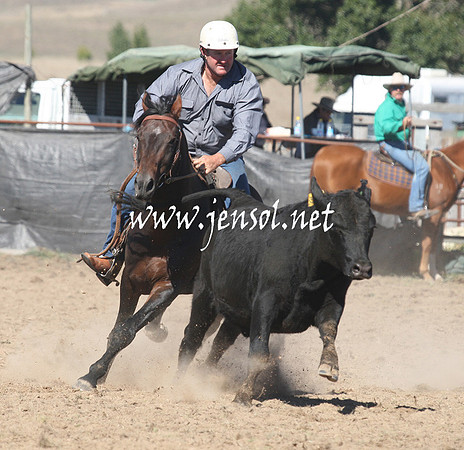 BombalaCampdraft2013Sat_0156