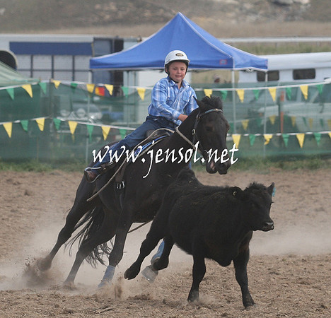 BombalaCampdraft2013Sat_0688