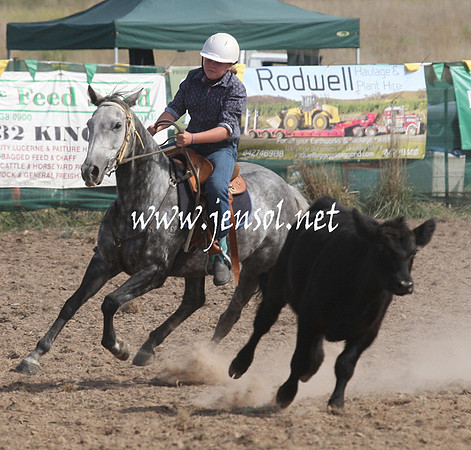 BombalaCampdraft2013Sat_0635