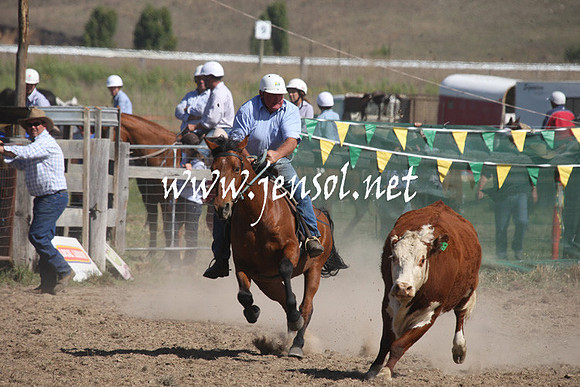 BombalaCampdraft2013Sat_0530