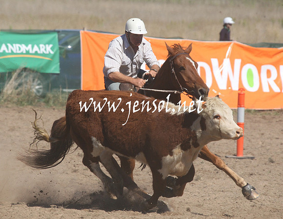 BombalaCampdraft2013Sat_0231