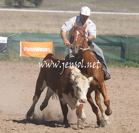 BombalaCampdraft2013Sat_0238