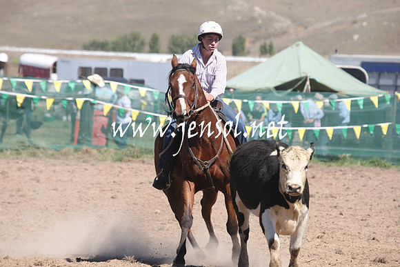 BombalaCampdraft2013Sat_0333