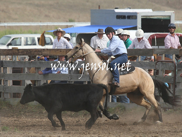 BombalaCampdraft2013Sat_0745