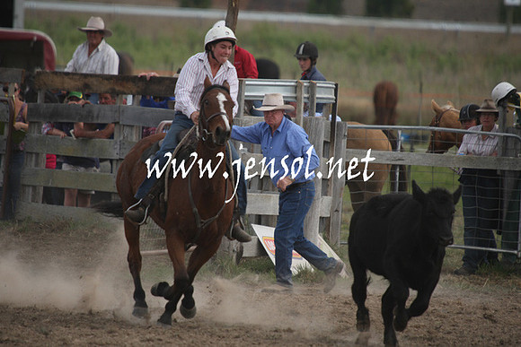 BombalaCampdraft2013Sat_0797