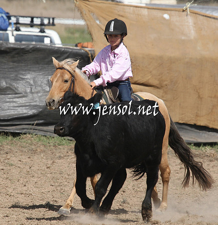 BombalaCampdraft2013Sat_0594