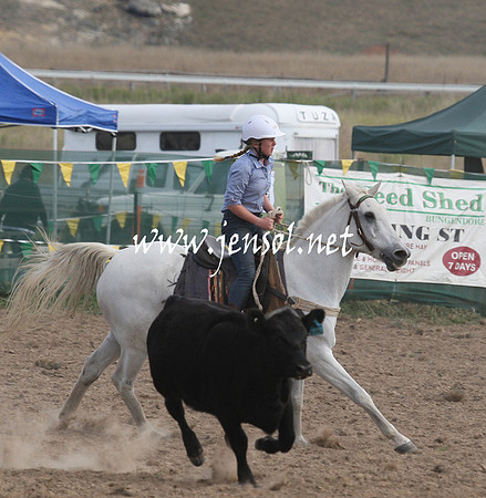 BombalaCampdraft2013Sat_0713