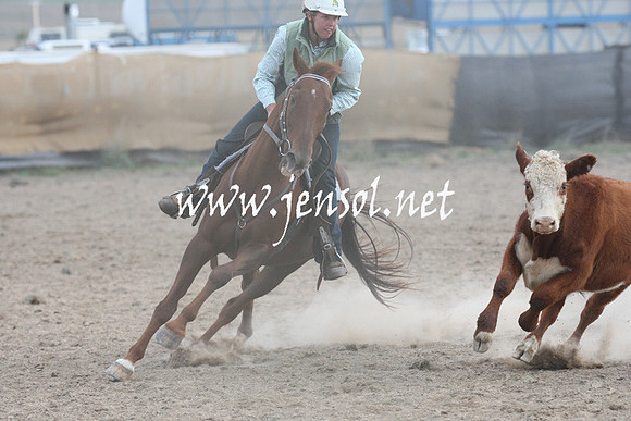 BombalaCampdraft2013Sat_1309