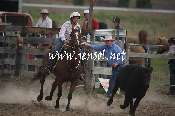 BombalaCampdraft2013Sat_0796