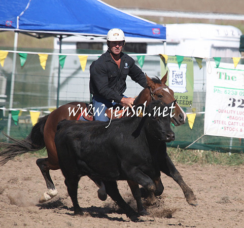 BombalaCampdraft2013Sat_0084