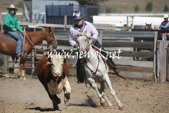 BombalaCampdraft2013Sat_0314