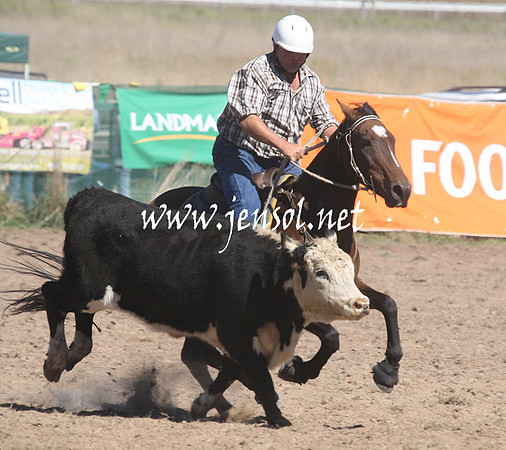 BombalaCampdraft2013Sat_0294