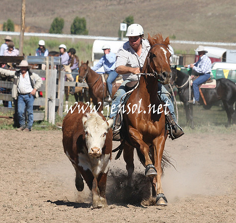 BombalaCampdraft2013Sat_0228