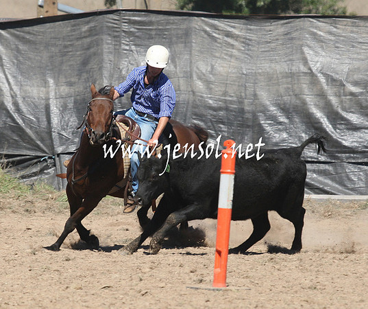 BombalaCampdraft2013Sat_0261