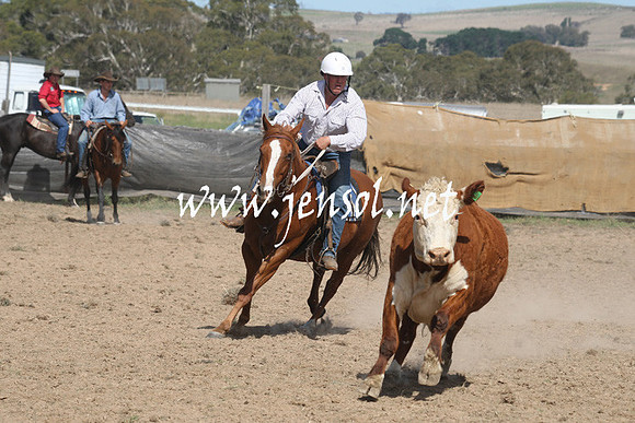 BombalaCampdraft2013Sat_0554