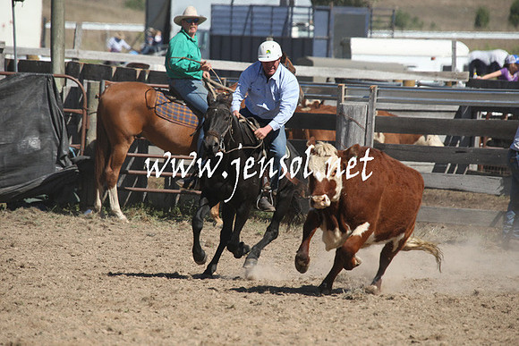 BombalaCampdraft2013Sat_0502