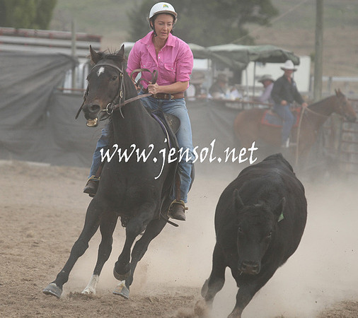 BombalaCampdraft2013Sat_0817
