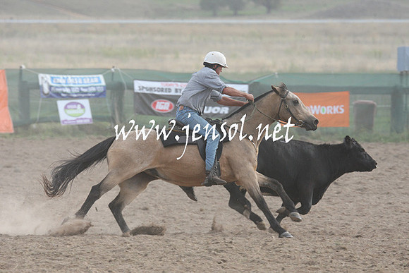 BombalaCampdraft2013Sat_1235