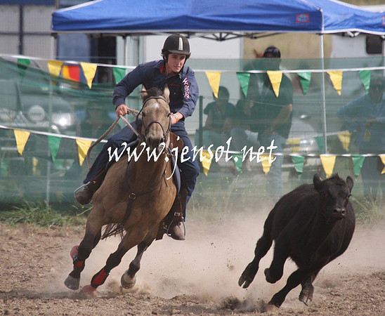 BombalaCampdraft2013Sat_0755