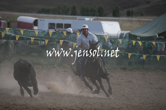 BombalaCampdraft2013Sat_1170