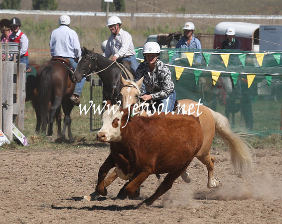 BombalaCampdraft2013Sat_0386