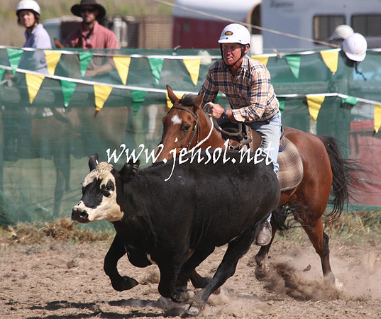 BombalaCampdraft2013Sat_0535