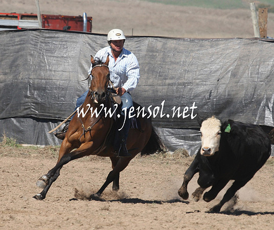 BombalaCampdraft2013Sat_0179