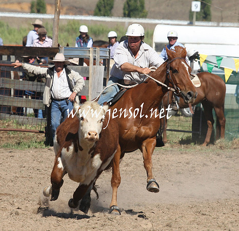 BombalaCampdraft2013Sat_0222