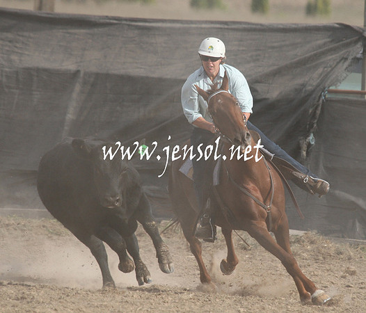BombalaCampdraft2013Sat_0882