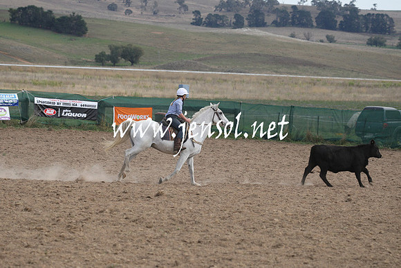 BombalaCampdraft2013Sat_0709