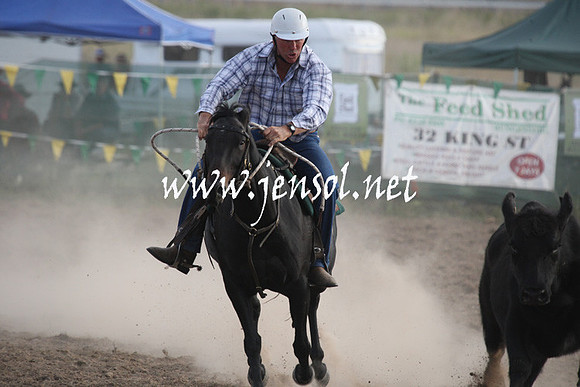 BombalaCampdraft2013Sat_1193