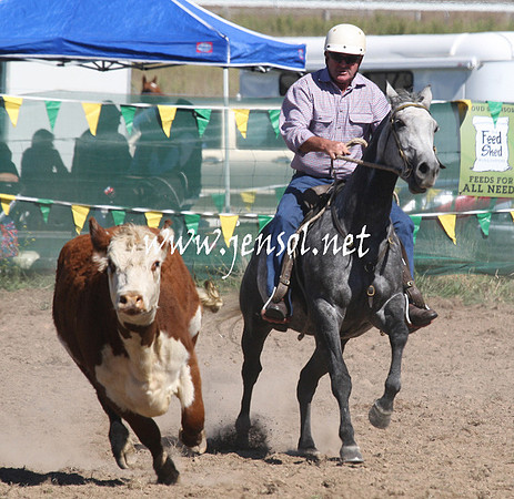 BombalaCampdraft2013Sat_0323