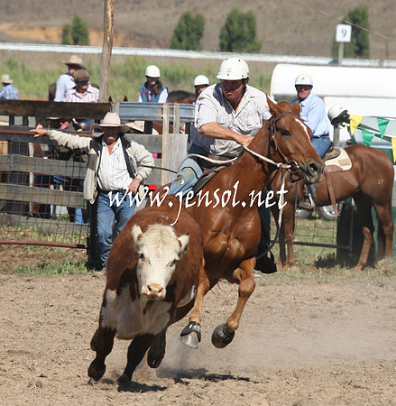 BombalaCampdraft2013Sat_0221