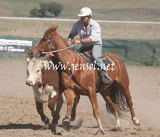 BombalaCampdraft2013Sat_0246