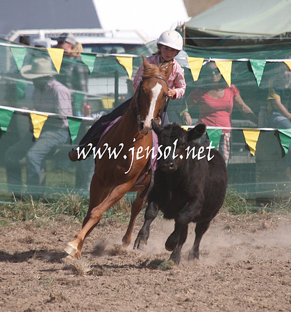 BombalaCampdraft2013Sat_0609