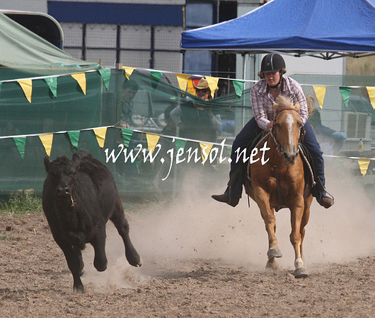 BombalaCampdraft2013Sat_0739