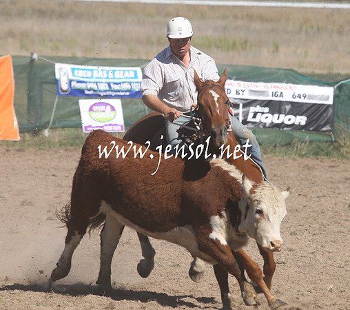 BombalaCampdraft2013Sat_0233
