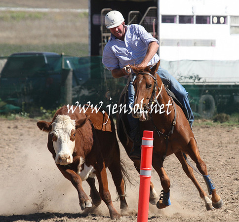 BombalaCampdraft2013Sat_0430