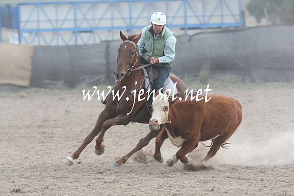 BombalaCampdraft2013Sat_1307