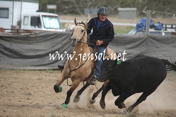 BombalaCampdraft2013Sat_0825