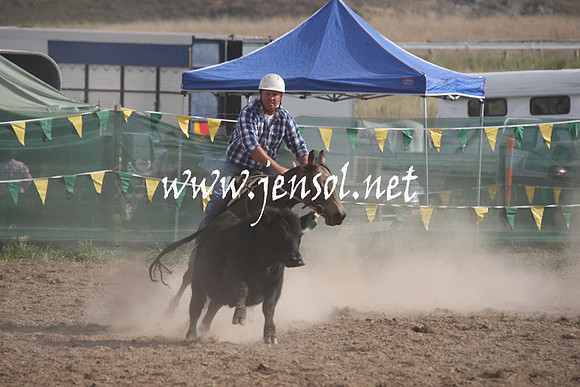 BombalaCampdraft2013Sat_0930