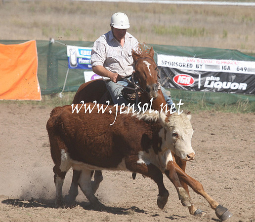 BombalaCampdraft2013Sat_0232