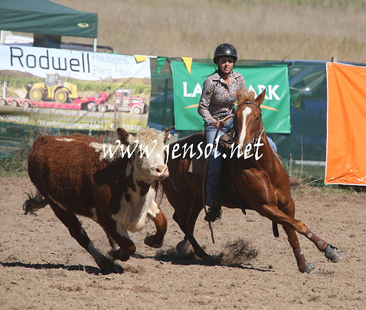 BombalaCampdraft2013Sat_0213