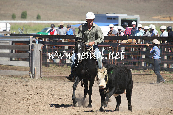 BombalaCampdraft2013Sat_0351