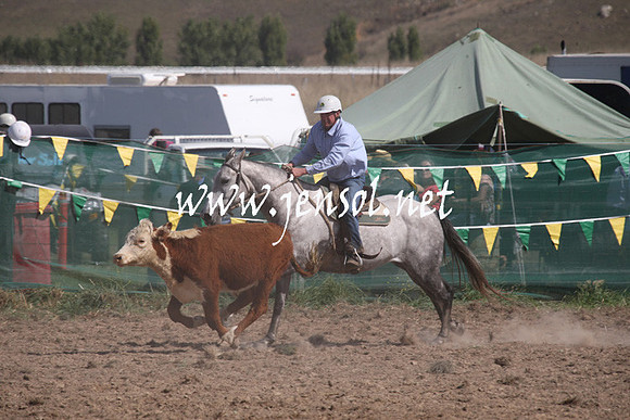 BombalaCampdraft2013Sat_0567