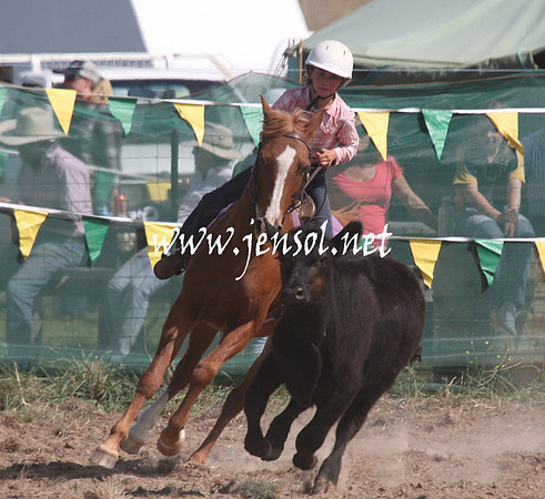 BombalaCampdraft2013Sat_0608
